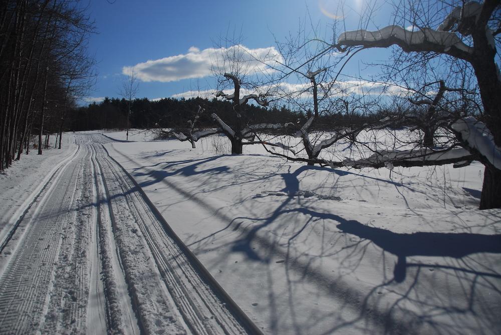 Nordis ski trail